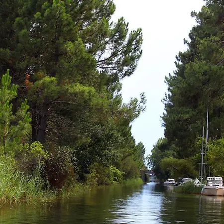 Campsite Camping Campeole Navarrosse Plage - Maeva